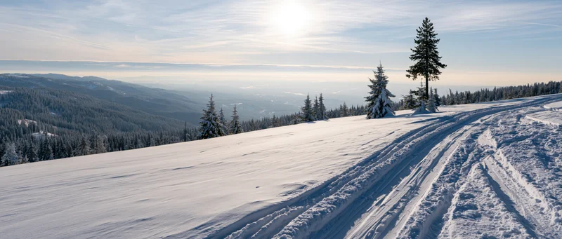 Snow-covered mountain slope with ski tracks and evergreen trees overlooking a valley under a bright sun