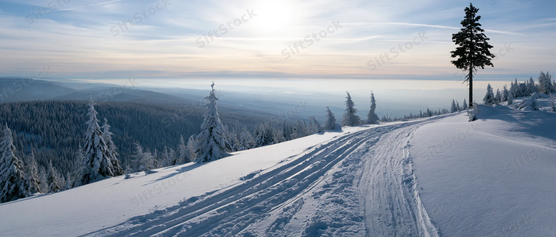 Snow-covered mountain slope with ski trail winding through pine forest overlooking valley at dawn