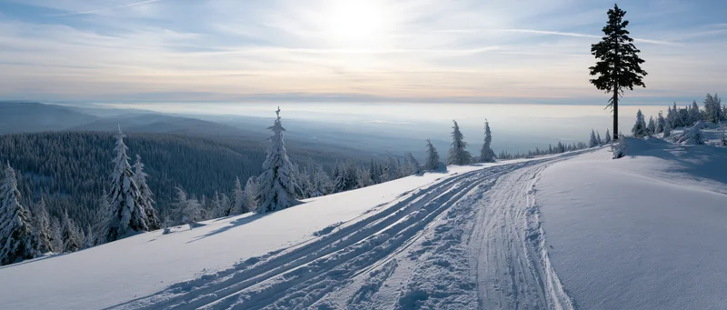 Snow-covered mountain slope with ski trail winding through pine forest overlooking valley at dawn