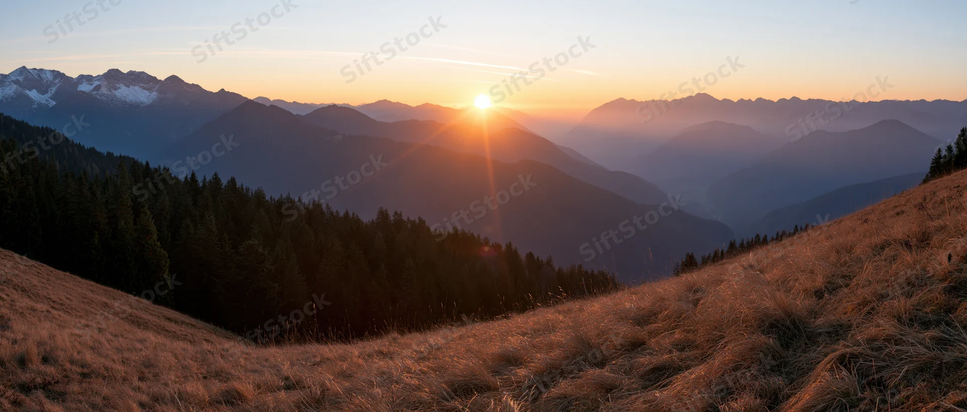 Sunrise over layered alpine mountains with forested slopes and golden grass in foreground