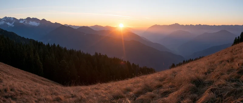 Sunrise over layered alpine mountains with forested slopes and golden grass in foreground