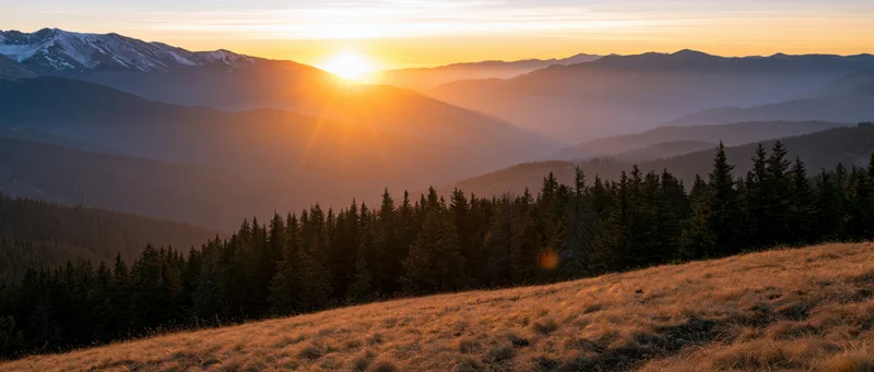 Sunrise over layered mountains with pine forest and grassy slope in foreground