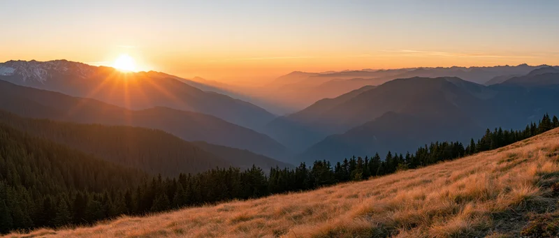 Sunrise over layered mountain ridges with golden grass meadow and evergreen forest in foreground