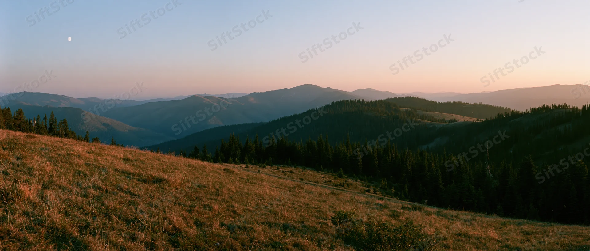 Mountain meadow at sunset with forested hills and distant peaks under a pale sky with moon visible