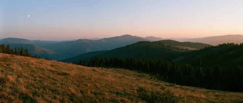 Mountain meadow at sunset with forested hills and distant peaks under a pale sky with moon visible