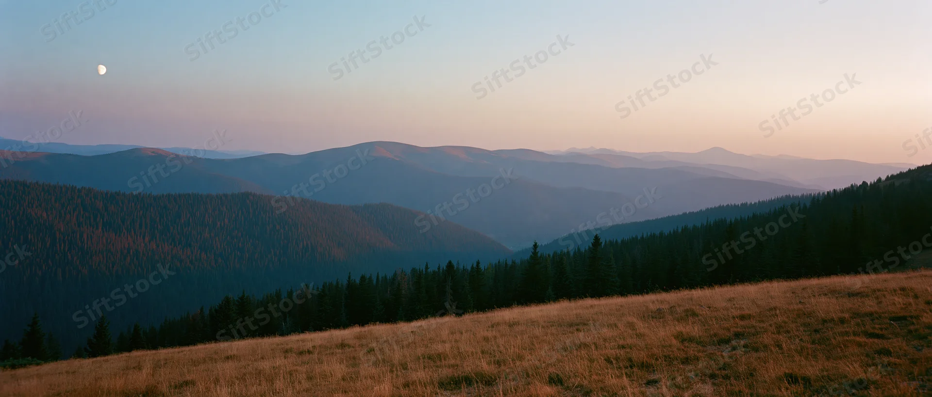 Mountain range with forested valleys and grassy meadow at dusk under a visible moon