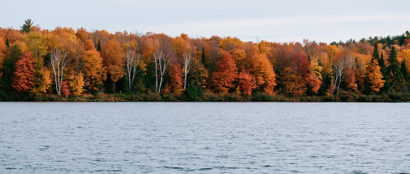Autumn forest lining a calm lake shore with colorful foliage reflecting in the water