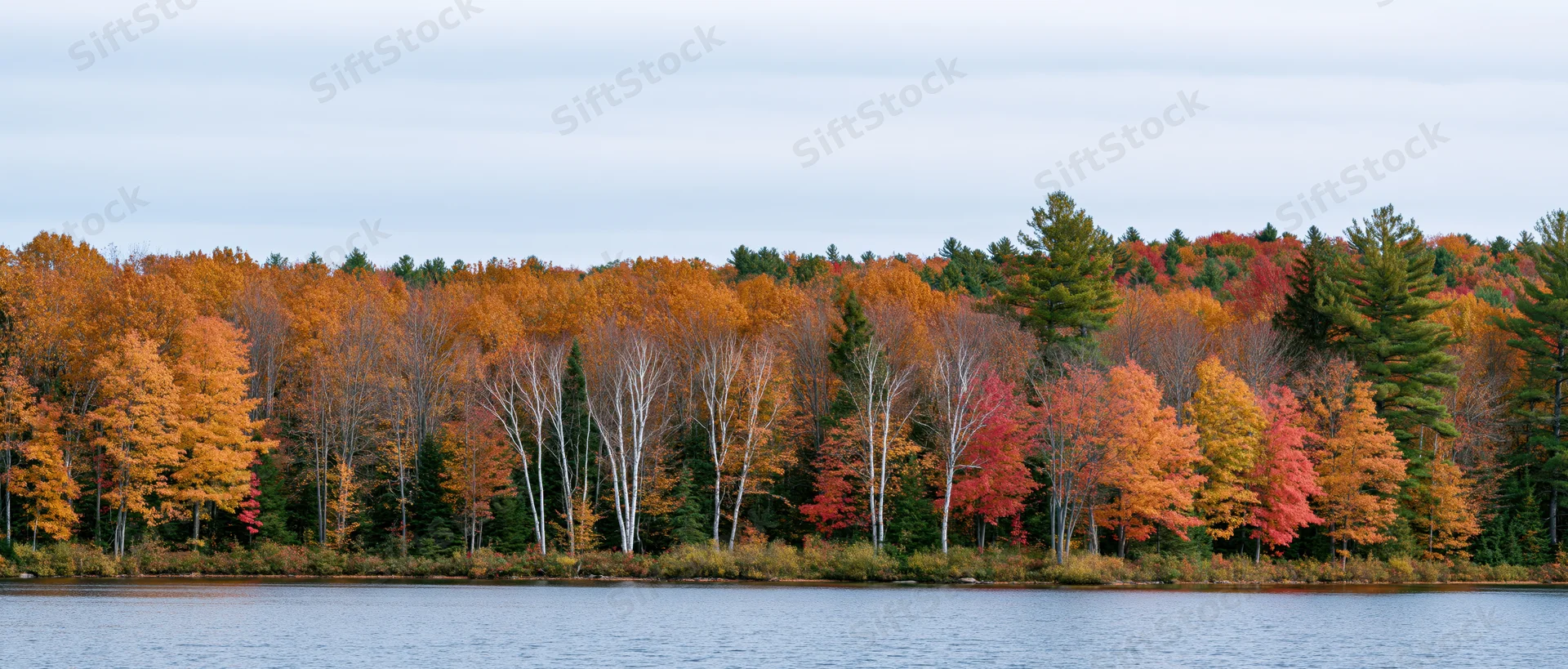 Autumn forest with colorful trees lining a calm lake shore