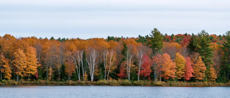 Autumn forest with colorful trees lining a calm lake shore
