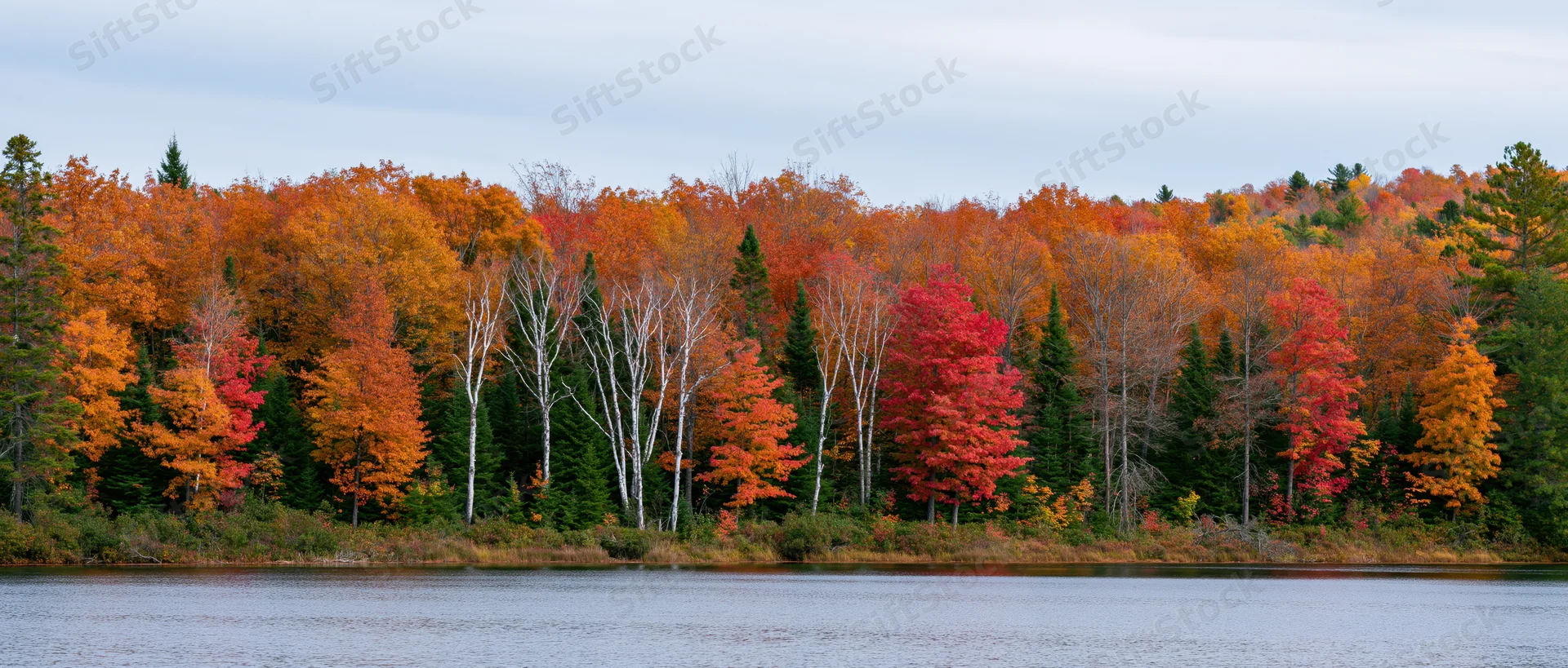 Autumn forest with colorful trees lining a calm lake shore