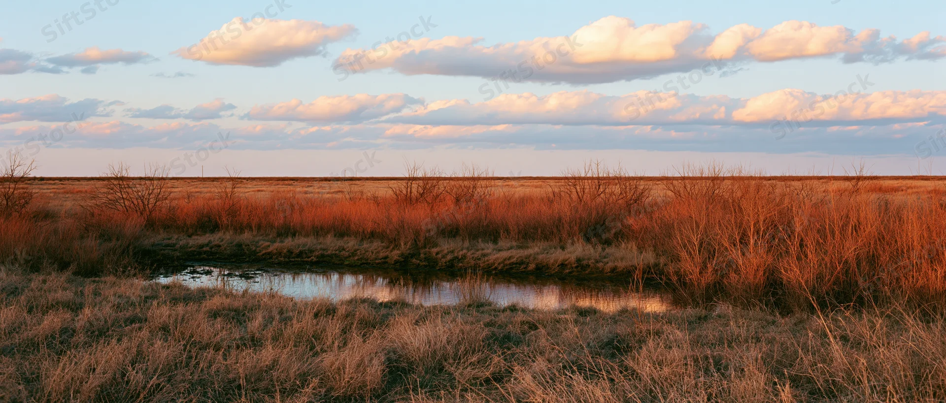 A small stream winding through dry grassland at sunset in a prairie wetland
