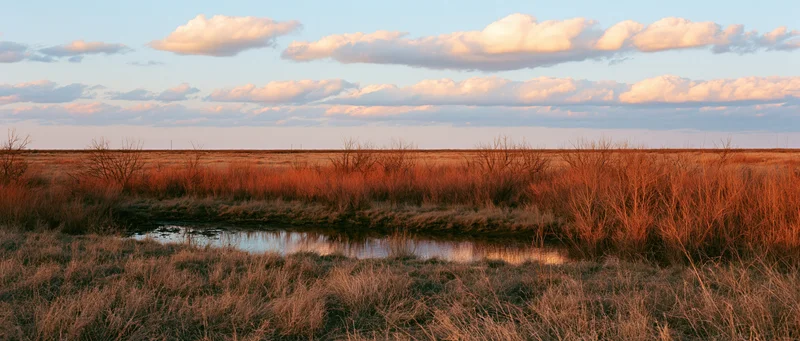 A small stream winding through dry grassland at sunset in a prairie wetland