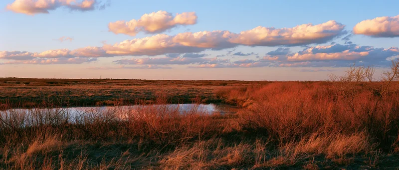 A wide view of a marshy field with a small river at sunset, surrounded by dry grass and shrubs under a sky with scattered clouds