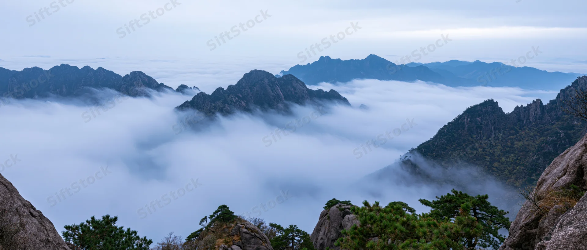 Rocky mountain peaks rising above a sea of fog with pine trees in the foreground