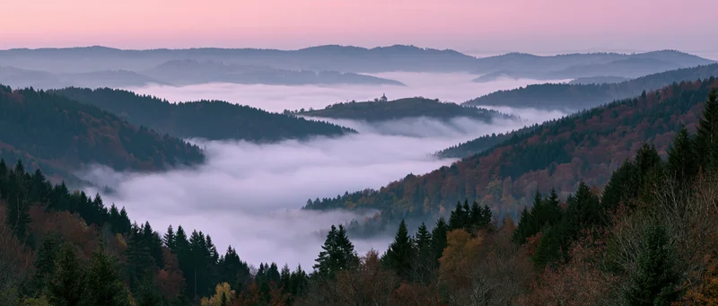 Misty valley surrounded by forested hills at dawn with pink sky and fog filling the lowlands