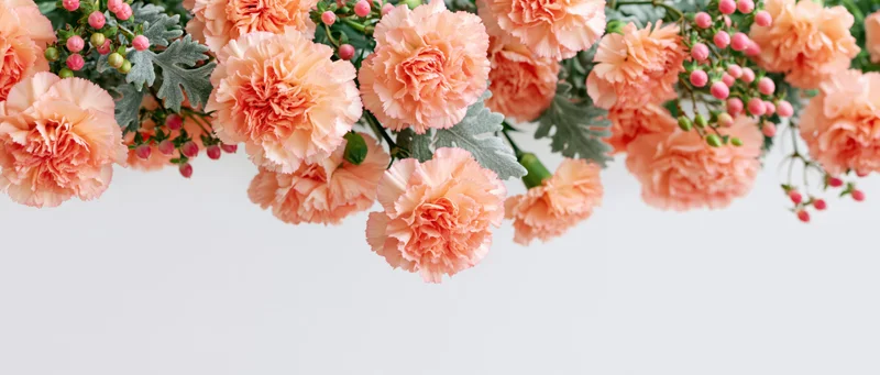 Peach carnations arranged in a floral bouquet with green leaves and pink buds against a white background