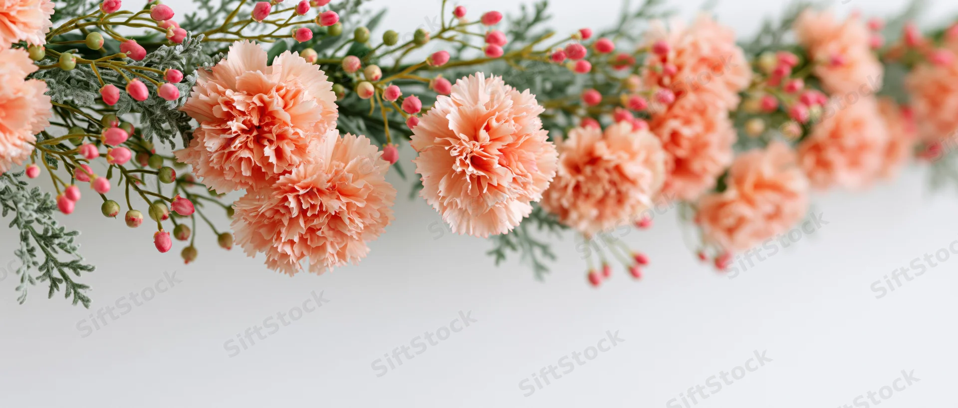 Peach carnations and green foliage arranged as a floral garland against a white background with copyspace