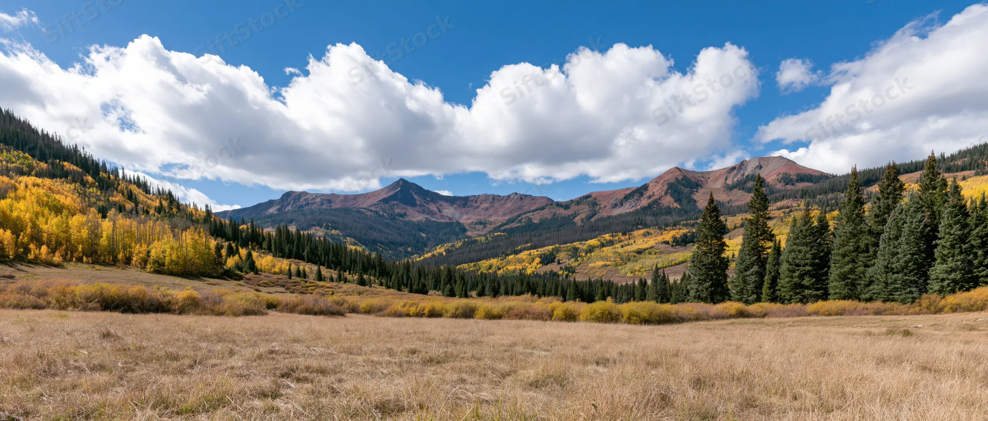 Autumn-colored aspen and pine trees in a mountain valley with golden meadow and blue sky above