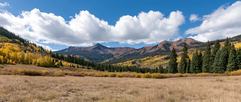 Autumn-colored aspen and pine trees in a mountain valley with golden meadow and blue sky above