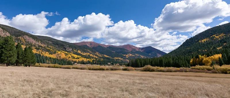 Autumn-colored aspen trees and evergreens in a mountain valley with golden meadow and blue sky with clouds