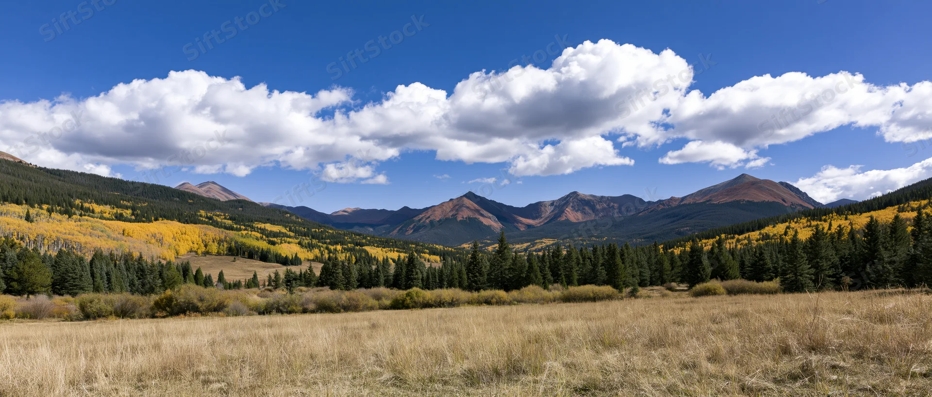 Mountain range with autumn-colored trees and grassy meadow under blue sky with clouds