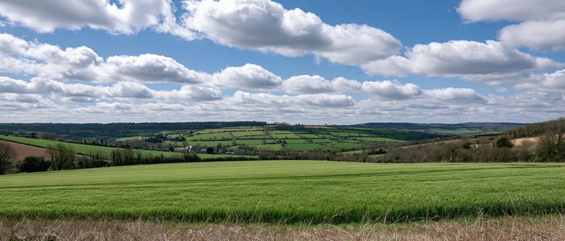 Rolling green fields and hills under a blue sky with white clouds in a rural countryside landscape
