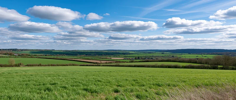 Expansive green fields under a blue sky with scattered clouds in a rural countryside landscape