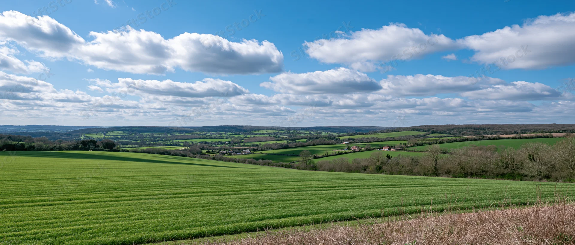Rolling green fields and farmland under a blue sky with scattered clouds in a rural countryside landscape