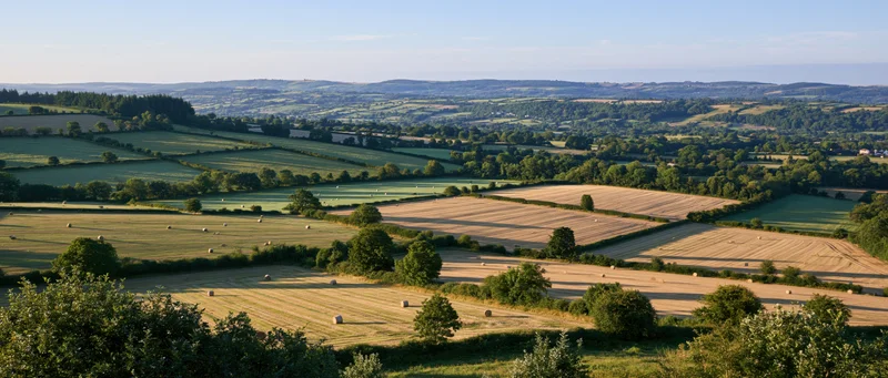 Rolling farmland with harvested fields and hay bales under clear sky in countryside landscape