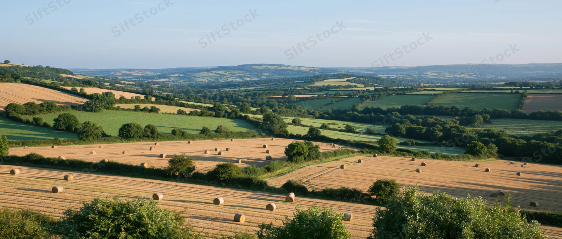 Rolling countryside fields with hay bales scattered across harvested land under bright summer sunlight