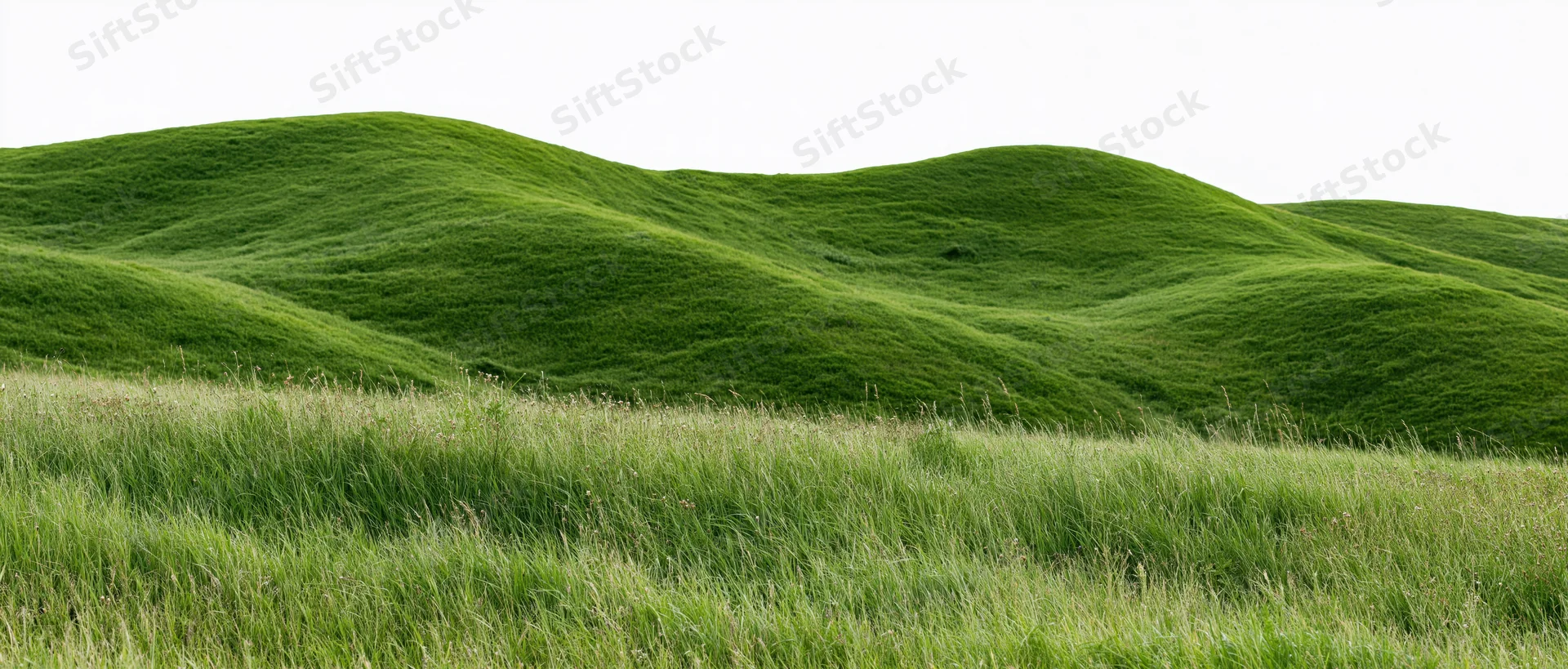 Rolling green hills covered in grass under a bright sky