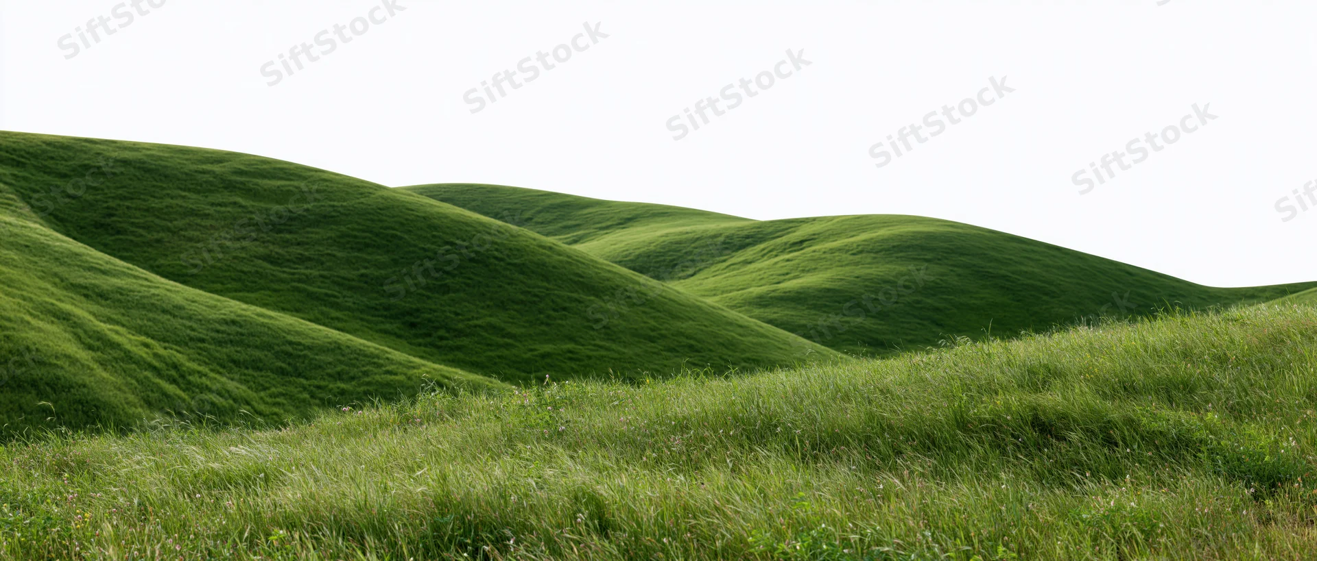 Rolling green hills covered in grass under a white sky in a rural landscape