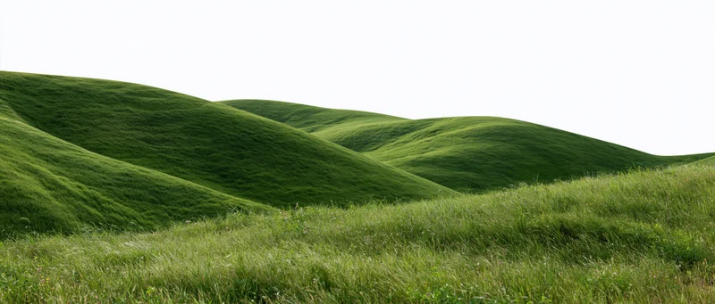 Rolling green hills covered in grass under a white sky in a rural landscape