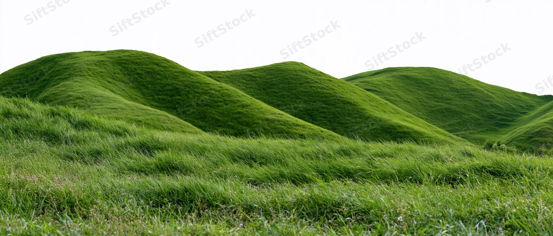 Rolling green hills covered in grass forming a continuous landscape under a bright sky