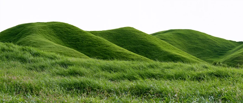 Rolling green hills covered in grass forming a continuous landscape under a bright sky