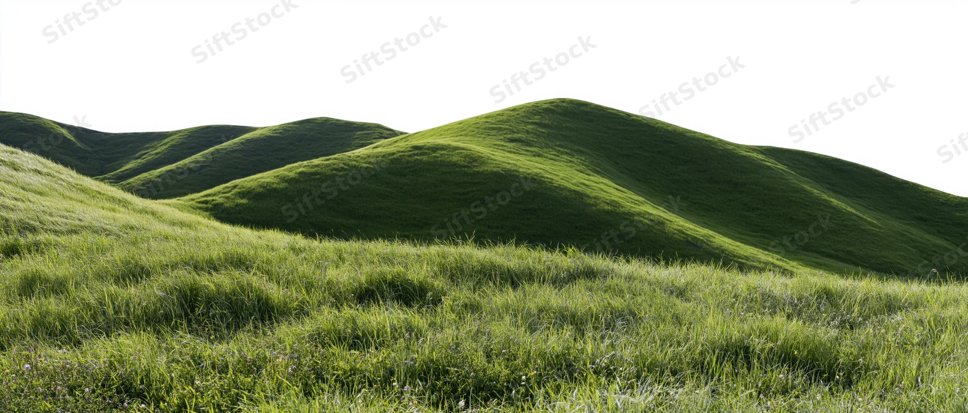 Rolling green hills covered in grass under bright sky