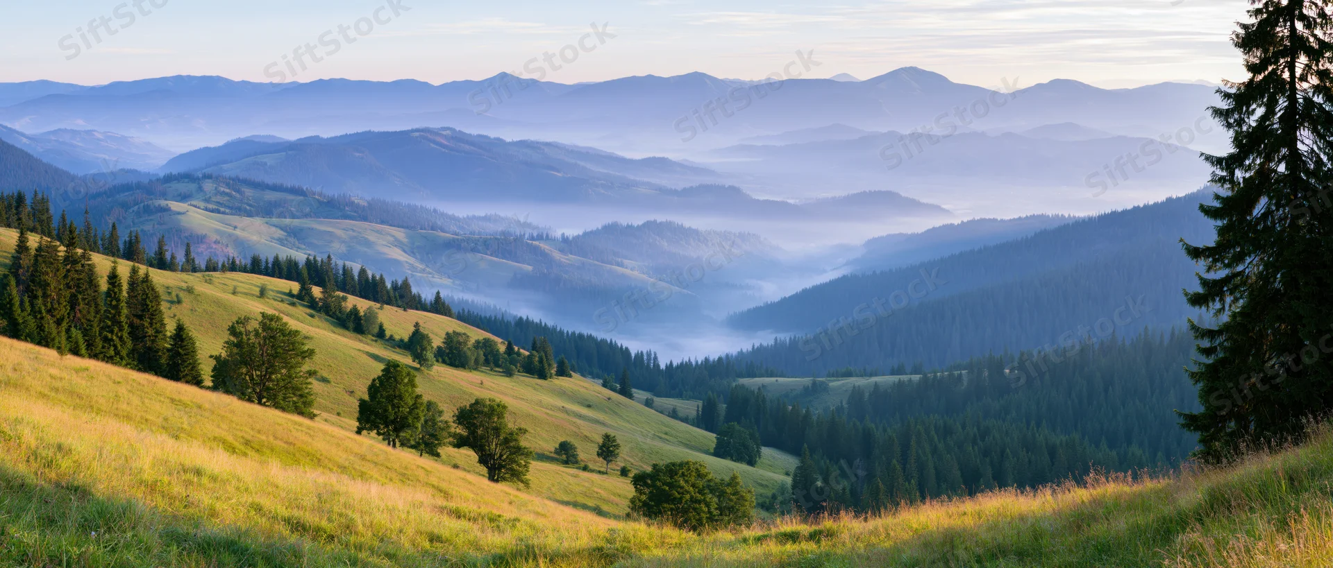 Rolling green hills and pine forests in a mountain valley at sunrise