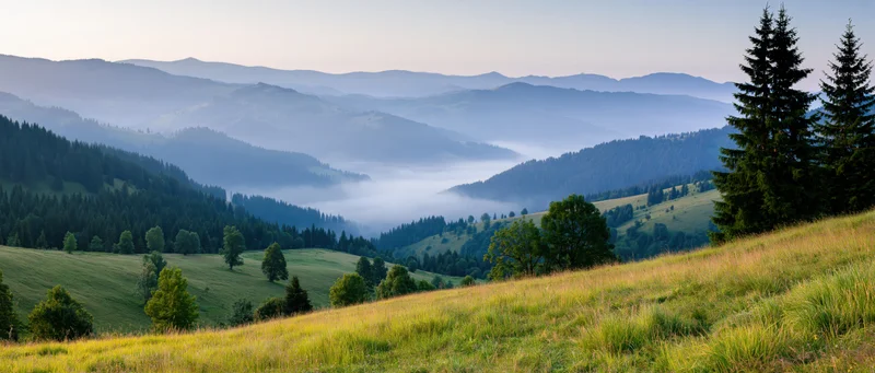 Rolling green meadows and pine trees in a misty mountain valley at sunrise