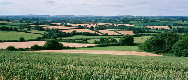 Rolling green fields and golden crops in a rural countryside landscape with hedgerows and distant hills under a cloudy sky