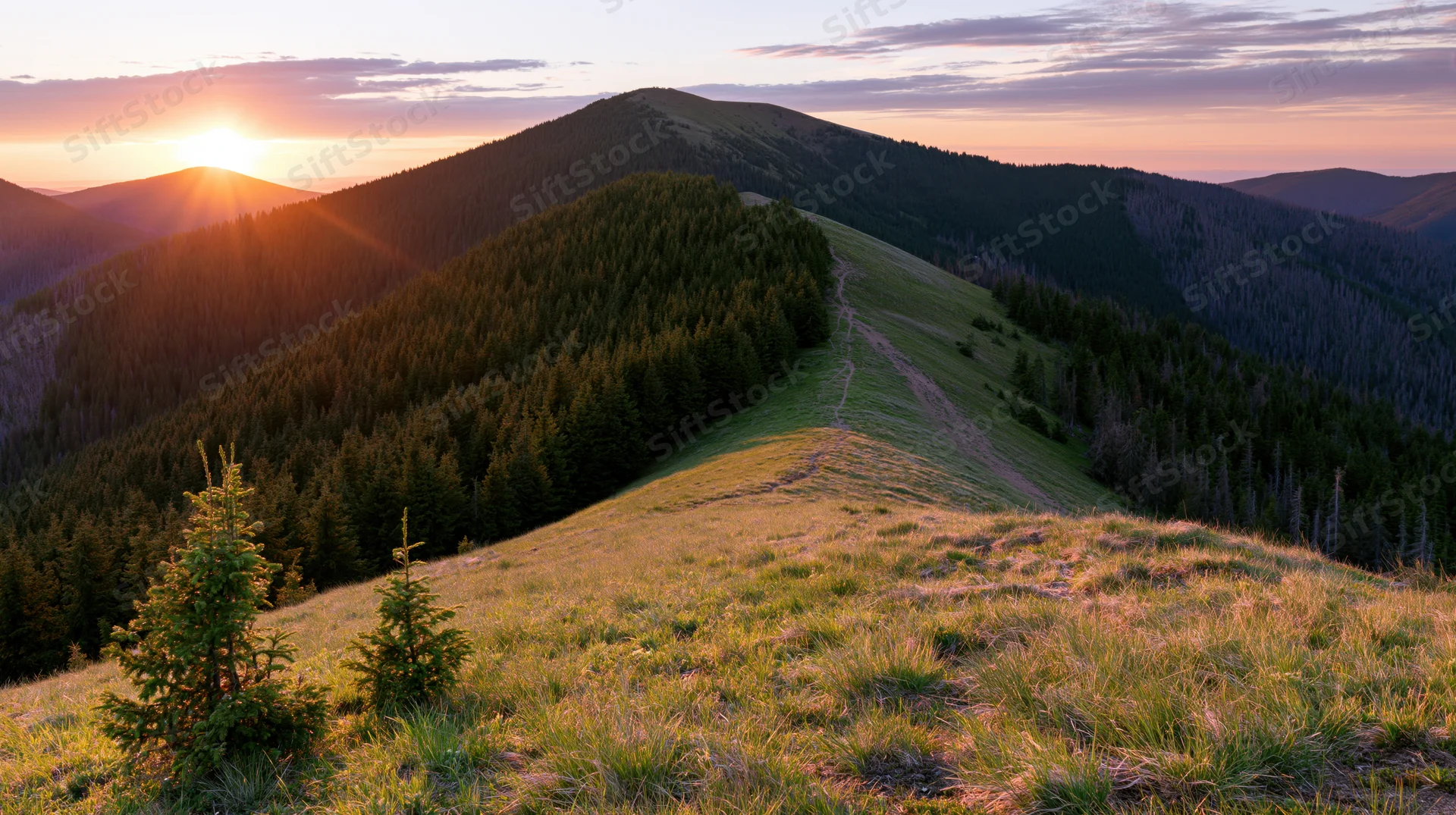 Mountain ridge covered in grass and evergreen trees at sunset with distant hills and forested valleys below