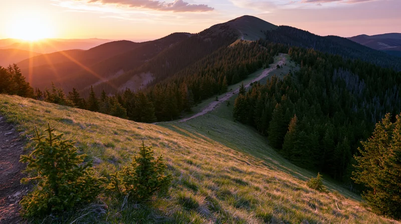 Mountain ridge at sunset with forested slopes and grassy meadow in foreground