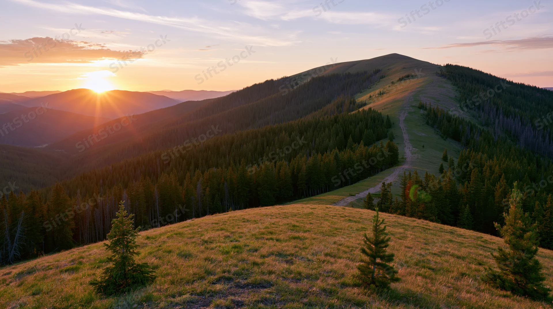 Mountain ridge at sunset with forested slopes and a winding path through a grassy meadow