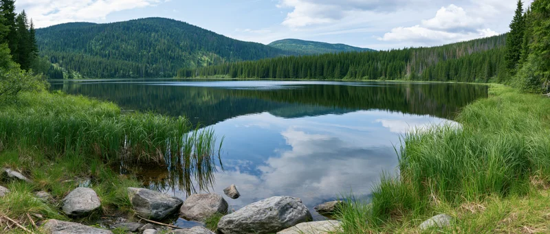 Calm lake reflecting sky and forested mountains surrounded by grassy shore and rocks