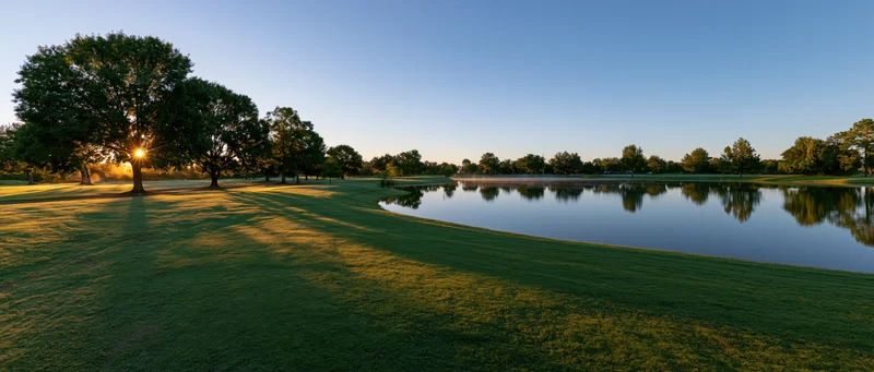 Trees casting long shadows on a grassy lawn beside a calm lake at sunrise in a park