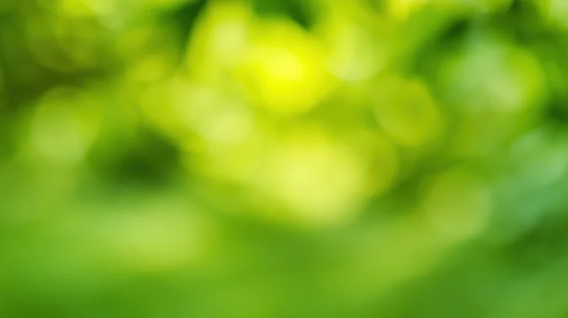 Blurred green foliage with soft bokeh light spots in a natural outdoor setting