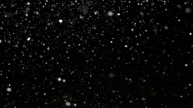 Snowflakes falling against a black background in a winter night scene