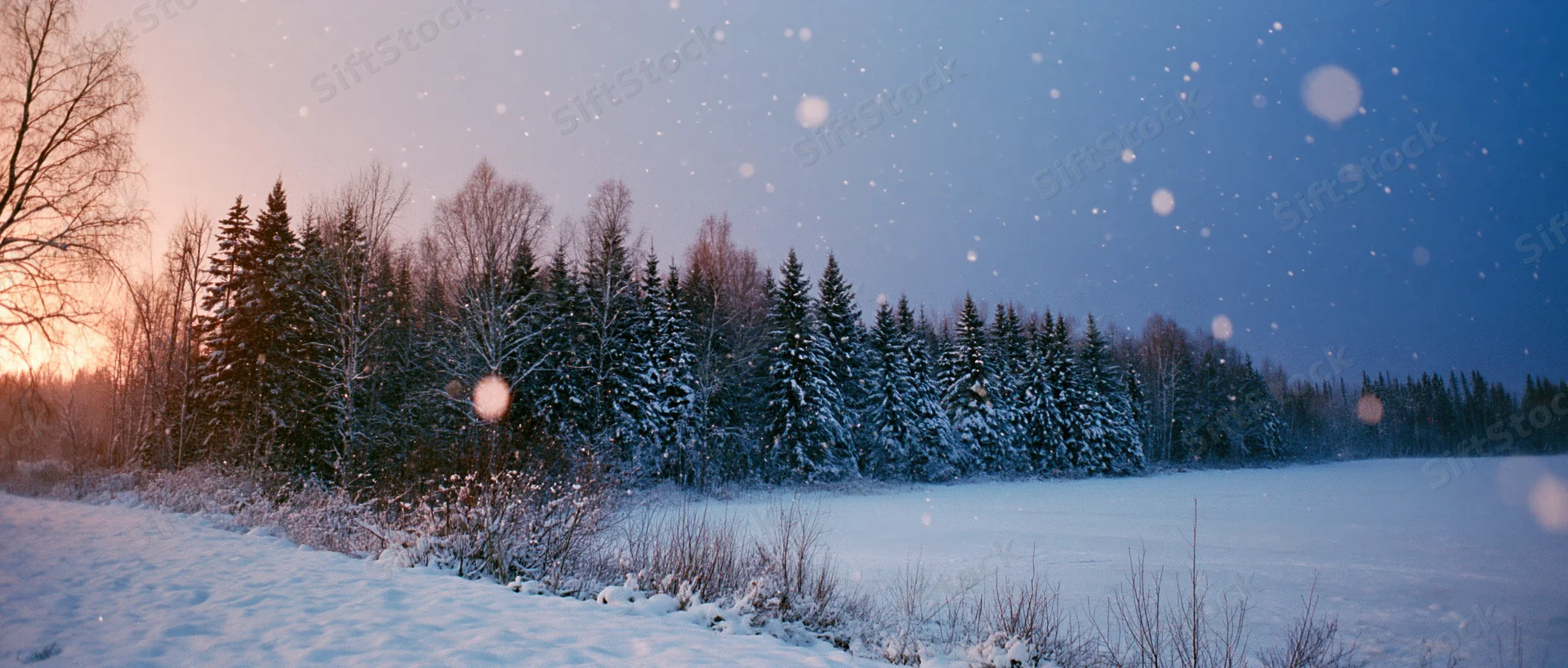 Snow-covered forest at twilight with falling snow over a frozen field