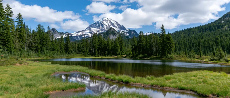 Snow-capped mountain reflected in calm lake surrounded by evergreen forest and grassy meadow