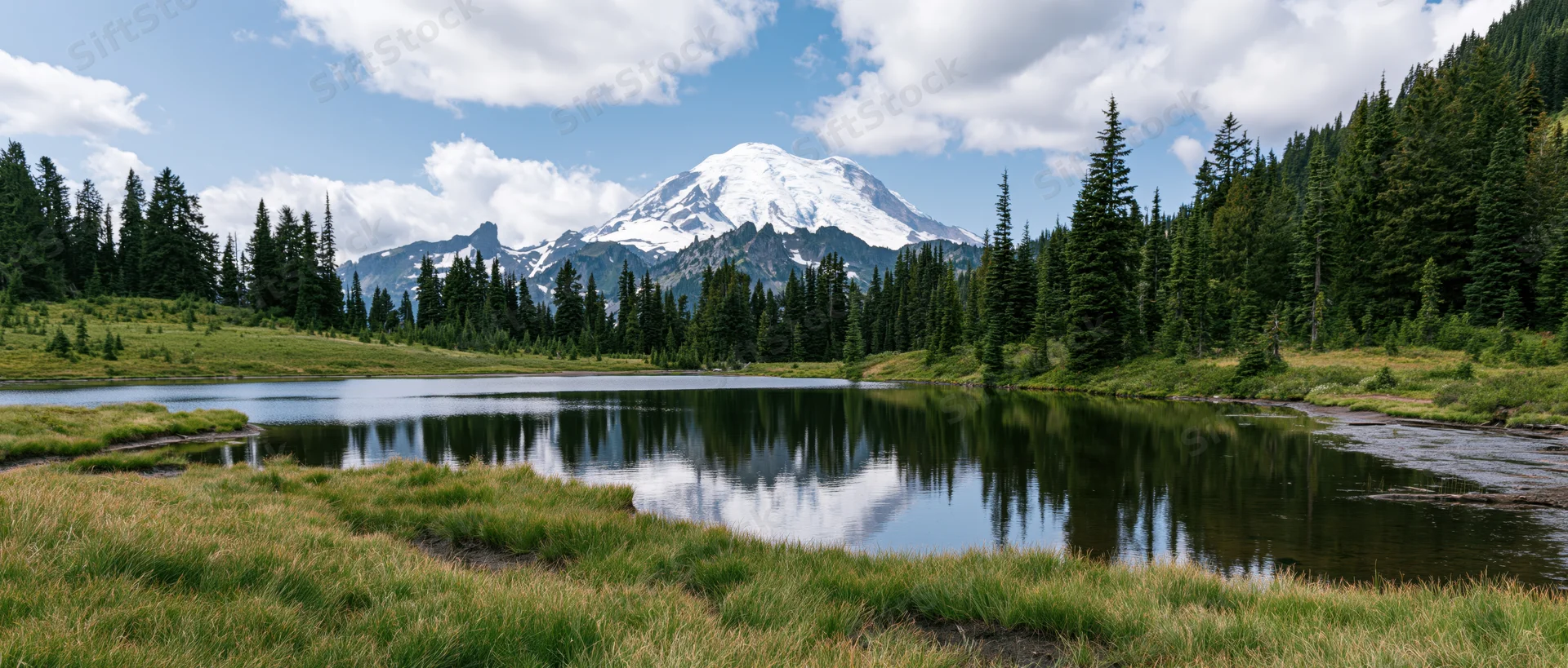Snow-capped mountain reflected in calm lake surrounded by evergreen forest and grassy meadow