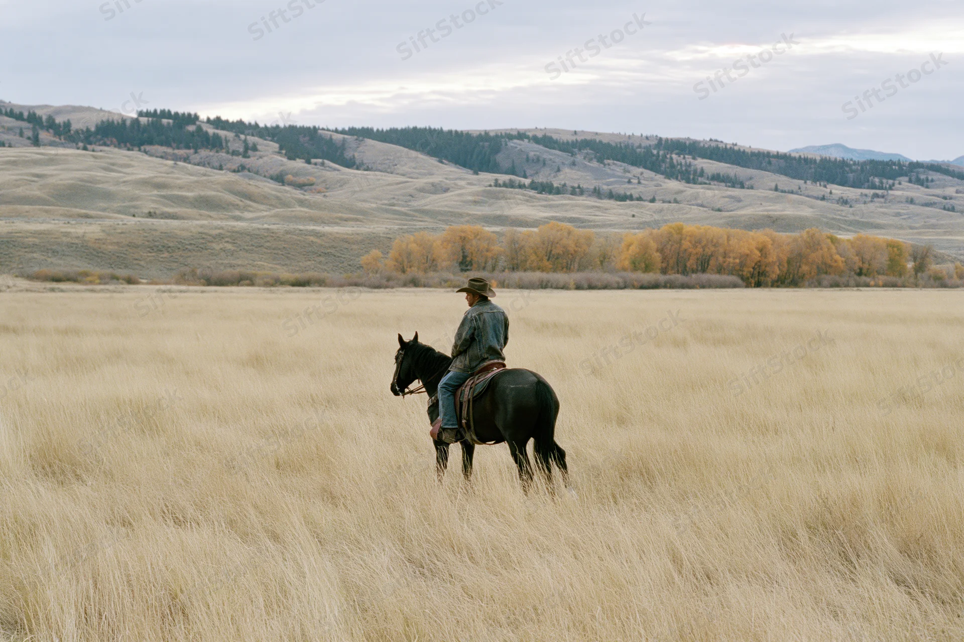 Cowboy riding dark horse through tall dry prairie grass with distant hills and autumn trees under overcast sky